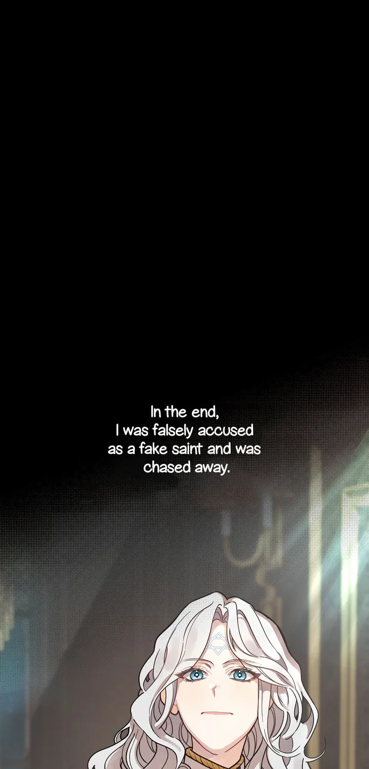 The Fake Was Thrown Away Chapter 0 page 30 - 