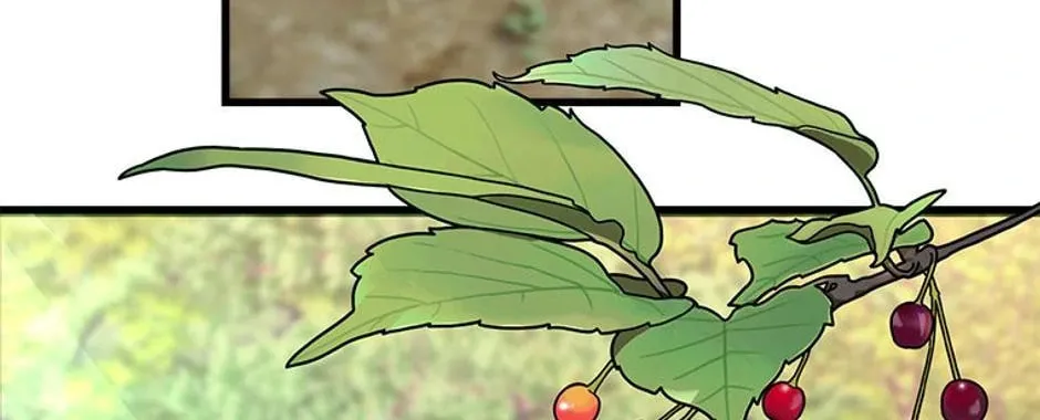 The Fake Was Thrown Away Chapter 21 page 116 - 