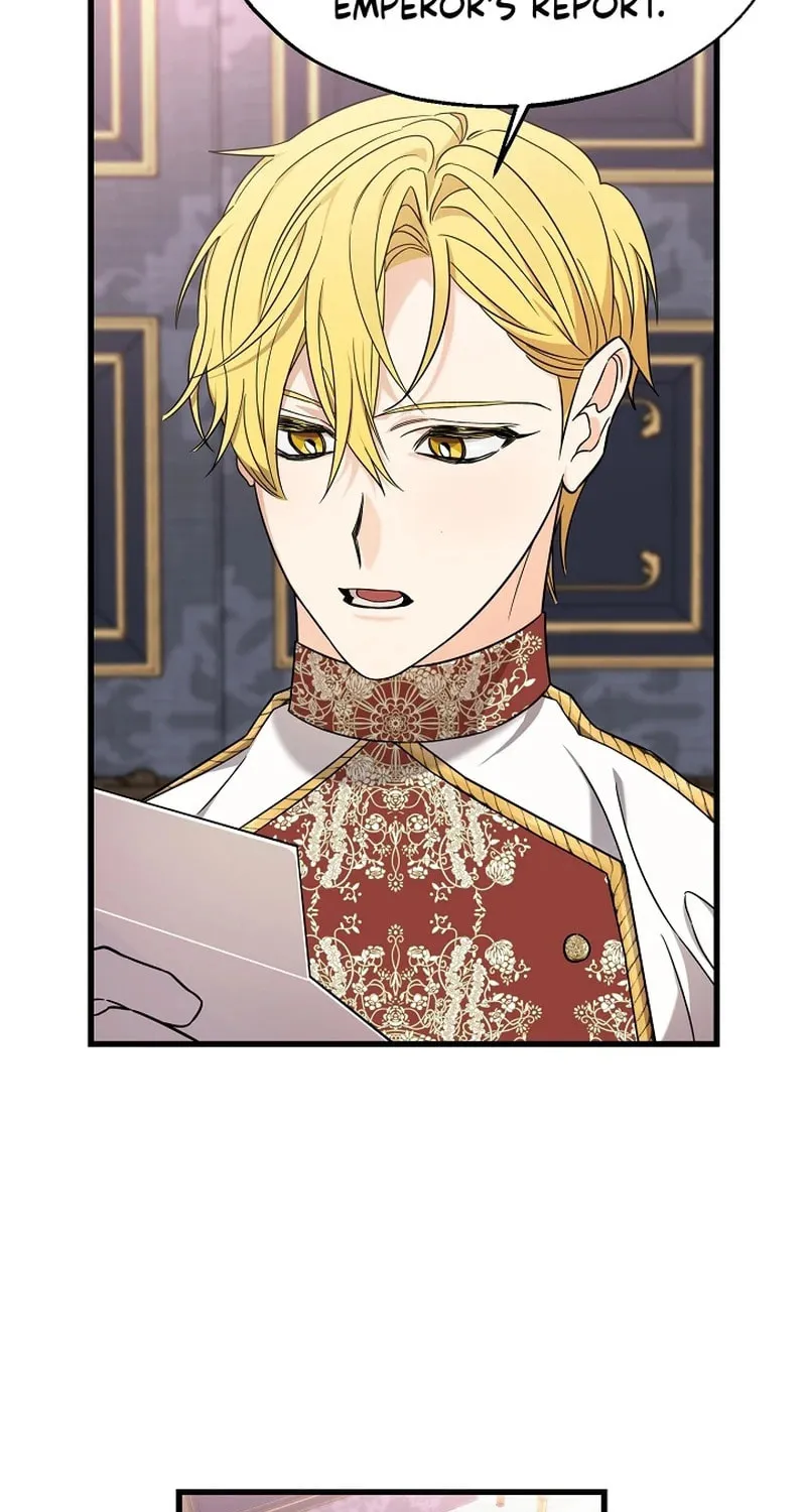 The Fake Was Thrown Away Chapter 40 page 27 - 