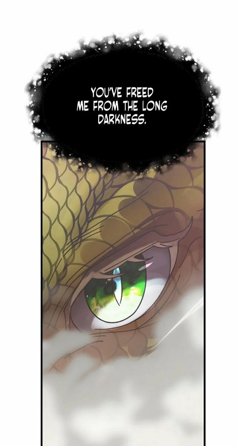 The Fake Was Thrown Away Chapter 47 page 47 - 