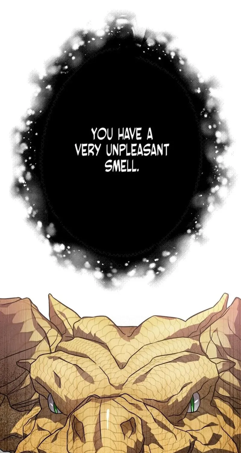 The Fake Was Thrown Away Chapter 48 page 46 - 