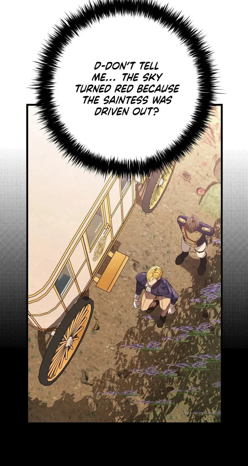 The Fake Was Thrown Away Chapter 49 page 15 - 