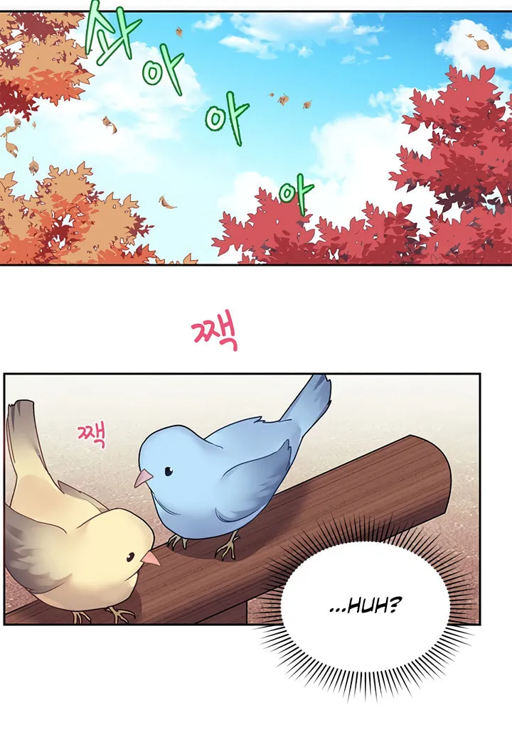 The Falcon Princess Chapter 1 page 44 - 