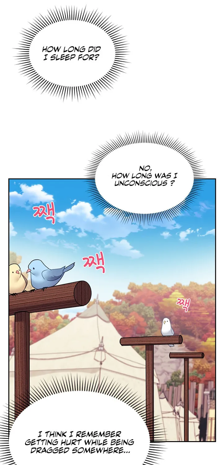 The Falcon Princess Chapter 1 page 45 - 