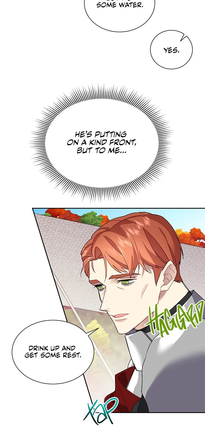 The Falcon Princess Chapter 11 page 11 - 