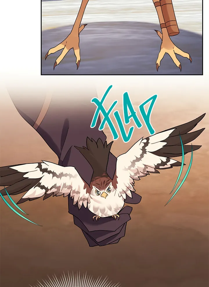 The Falcon Princess Chapter 11 page 17 - 
