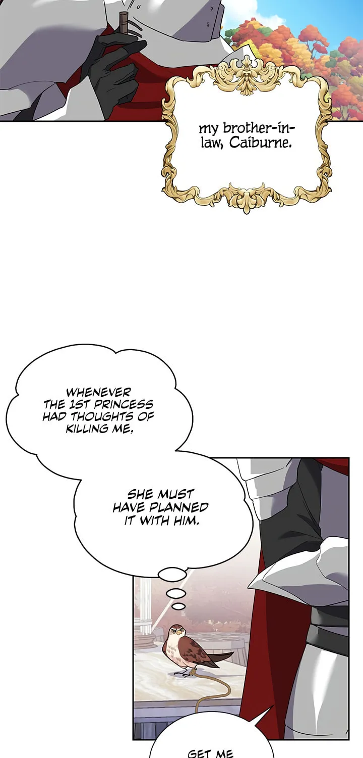 The Falcon Princess Chapter 11 page 10 - 