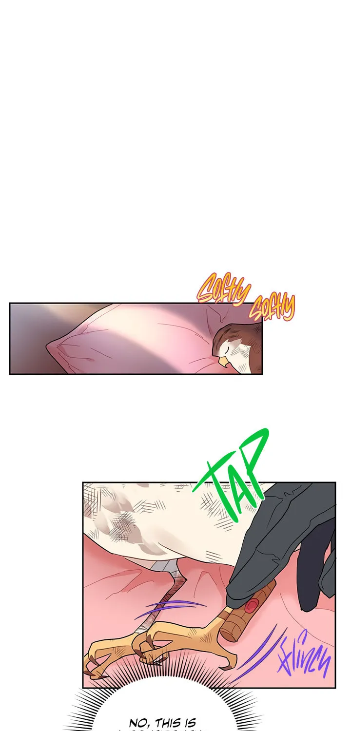 The Falcon Princess Chapter 12 page 29 - 