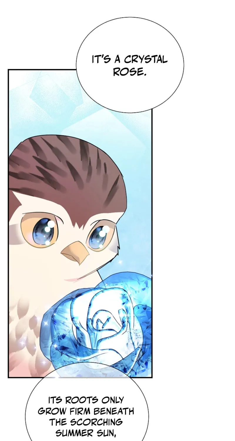 The Falcon Princess Chapter 123 page 42 - 