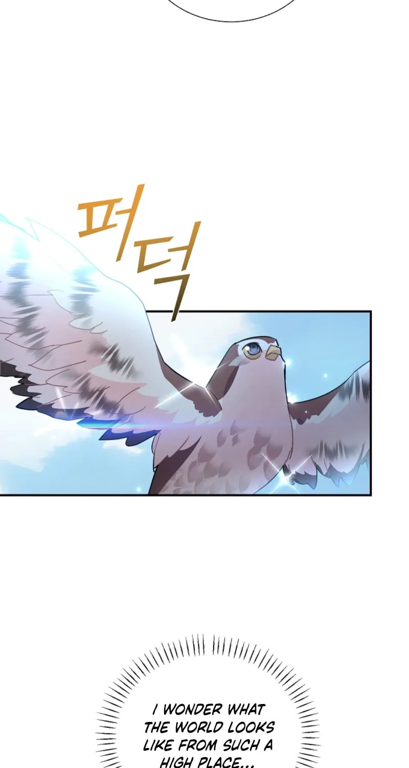 The Falcon Princess Chapter 123 page 44 - 