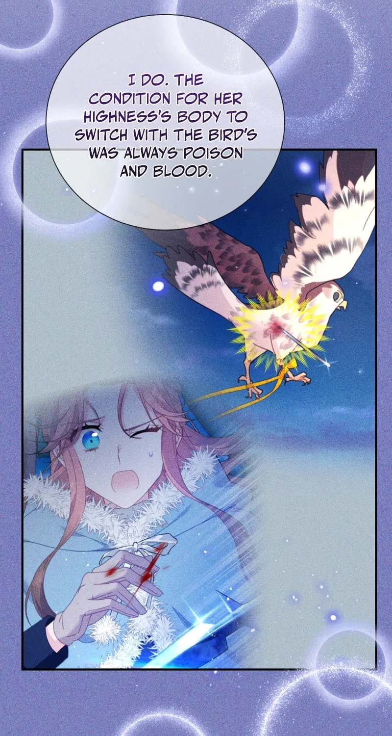 The Falcon Princess Chapter 124 page 8 - 
