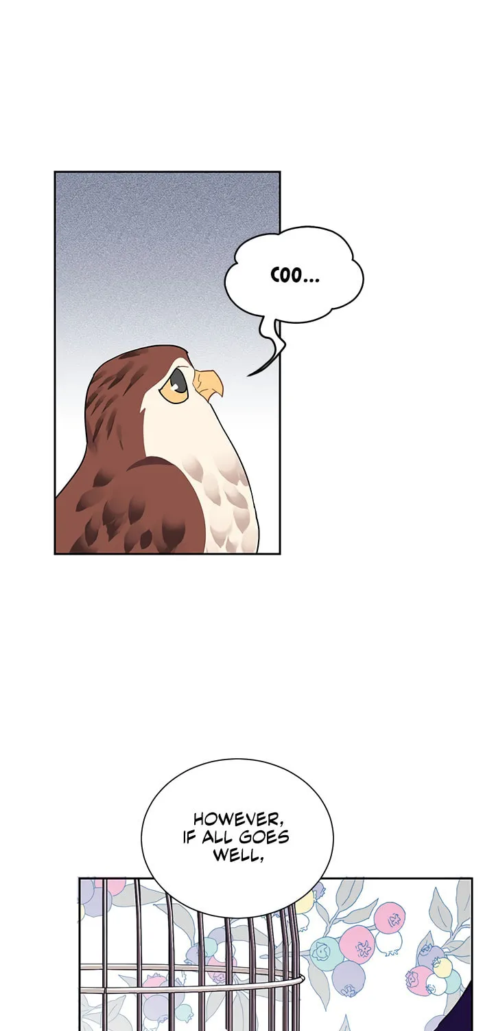 The Falcon Princess Chapter 13 page 62 - 