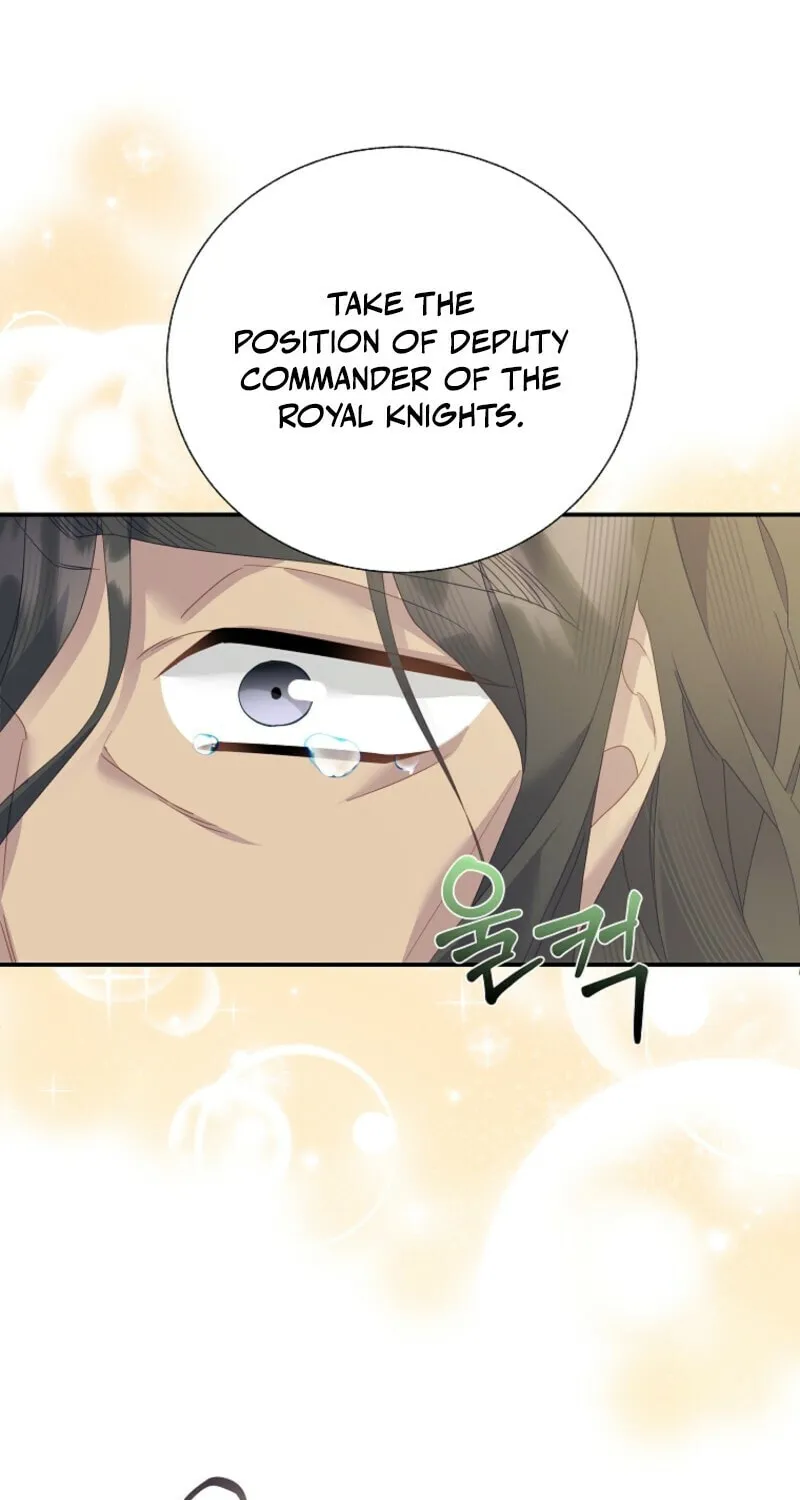 The Falcon Princess Chapter 134 page 29 - 