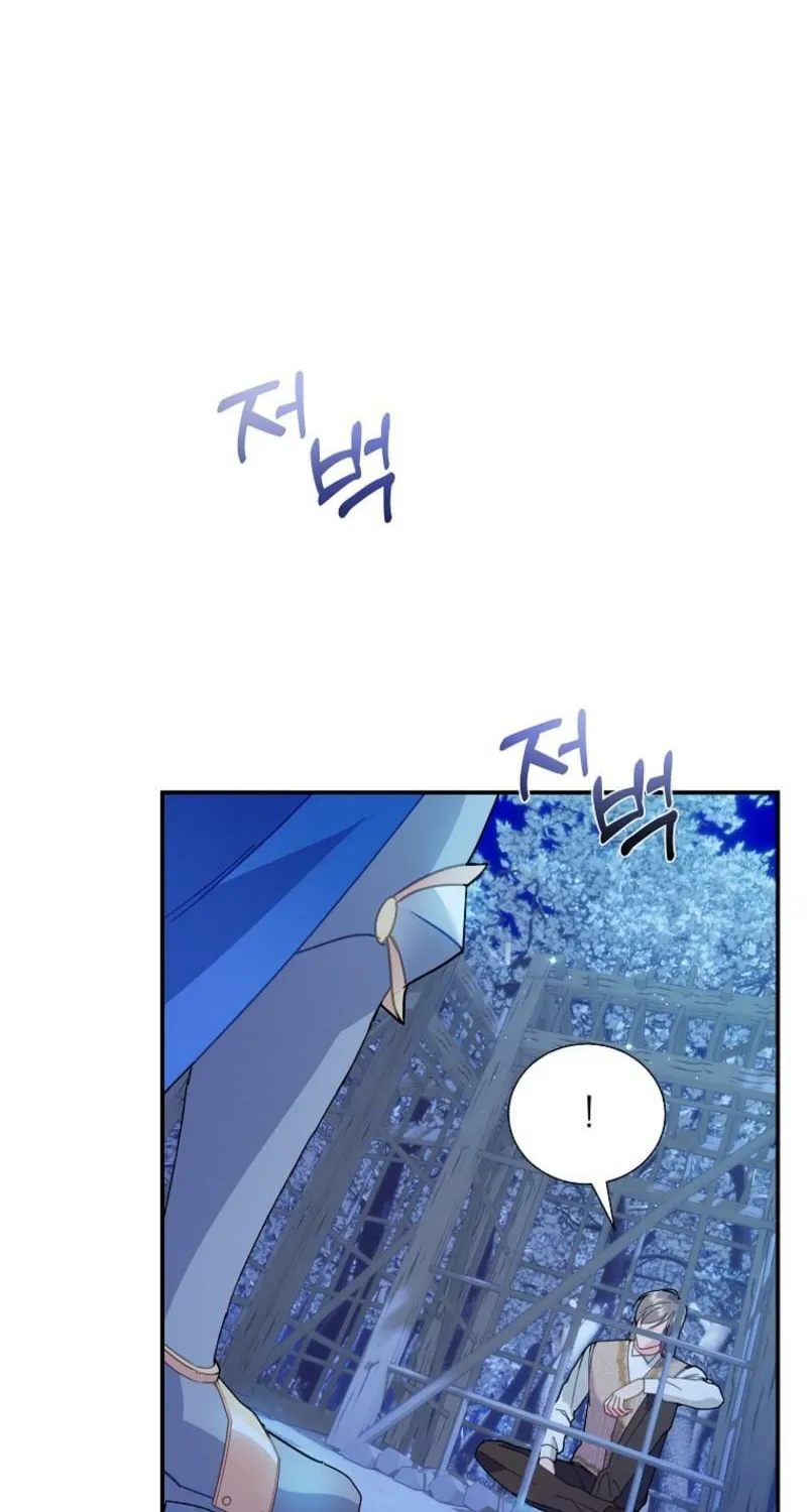 The Falcon Princess Chapter 139 page 47 - 
