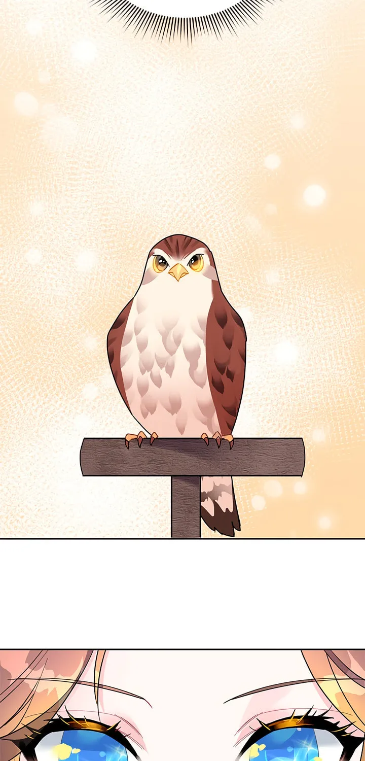 The Falcon Princess Chapter 14 page 2 - 