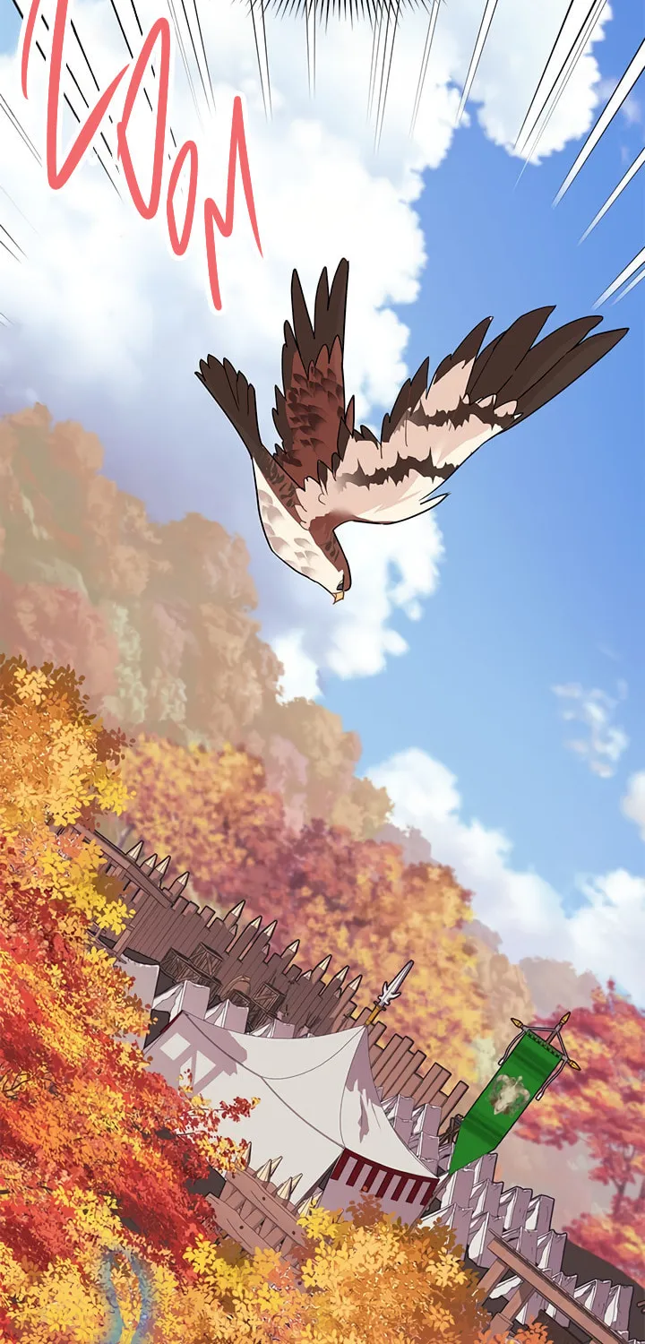 The Falcon Princess Chapter 14 page 36 - 