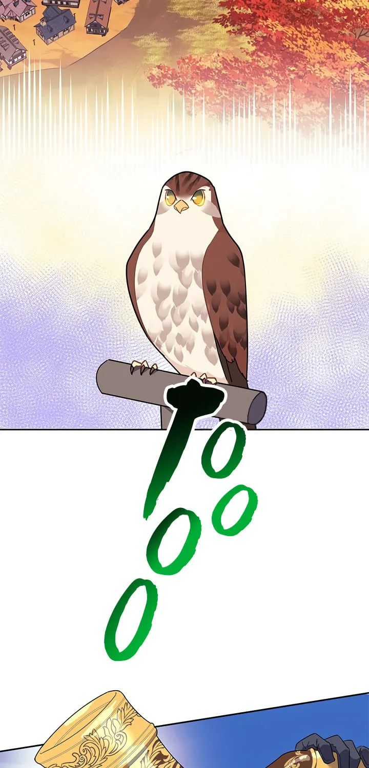 The Falcon Princess Chapter 14 page 66 - 
