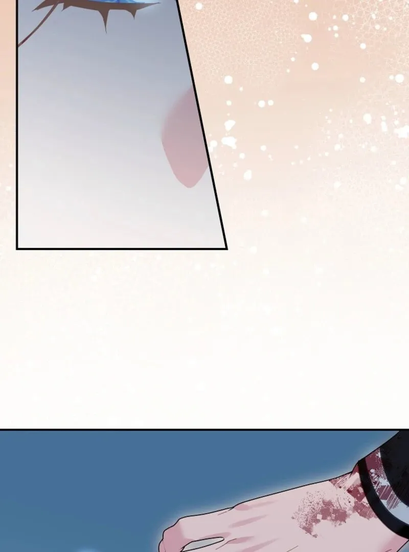 The Falcon Princess Chapter 142 page 17 - 