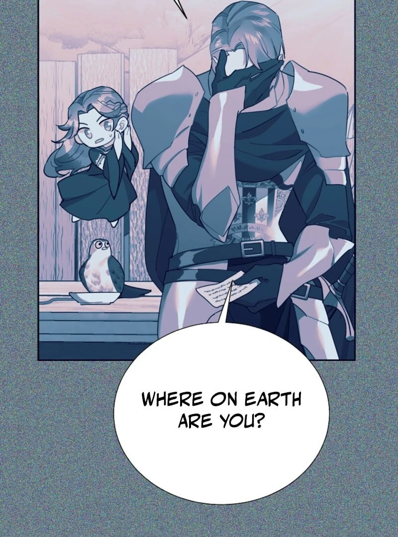 The Falcon Princess Chapter 144 page 17 - 