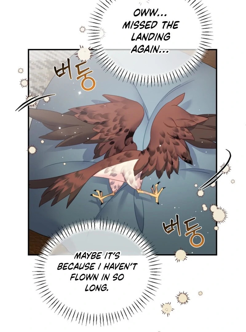 The Falcon Princess Chapter 145 page 19 - 