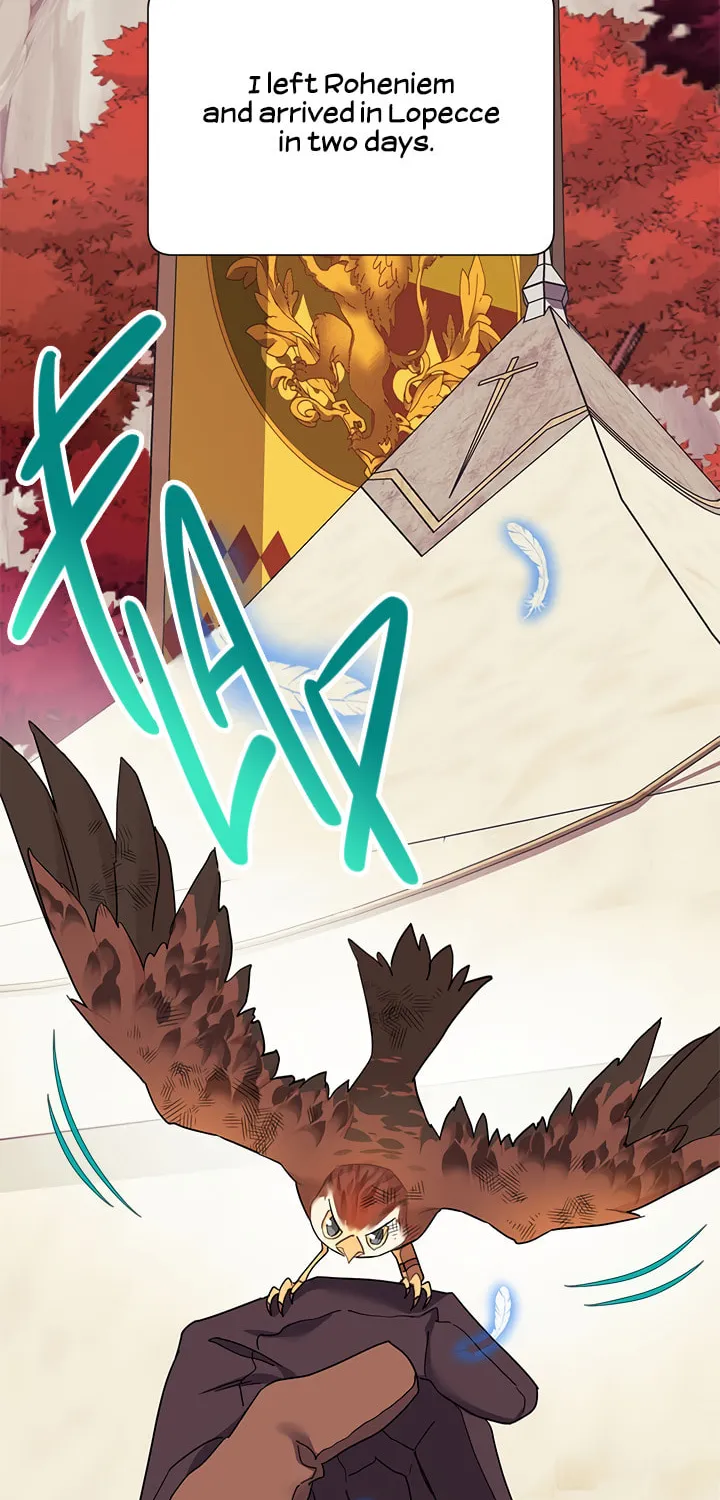 The Falcon Princess Chapter 15 page 2 - 