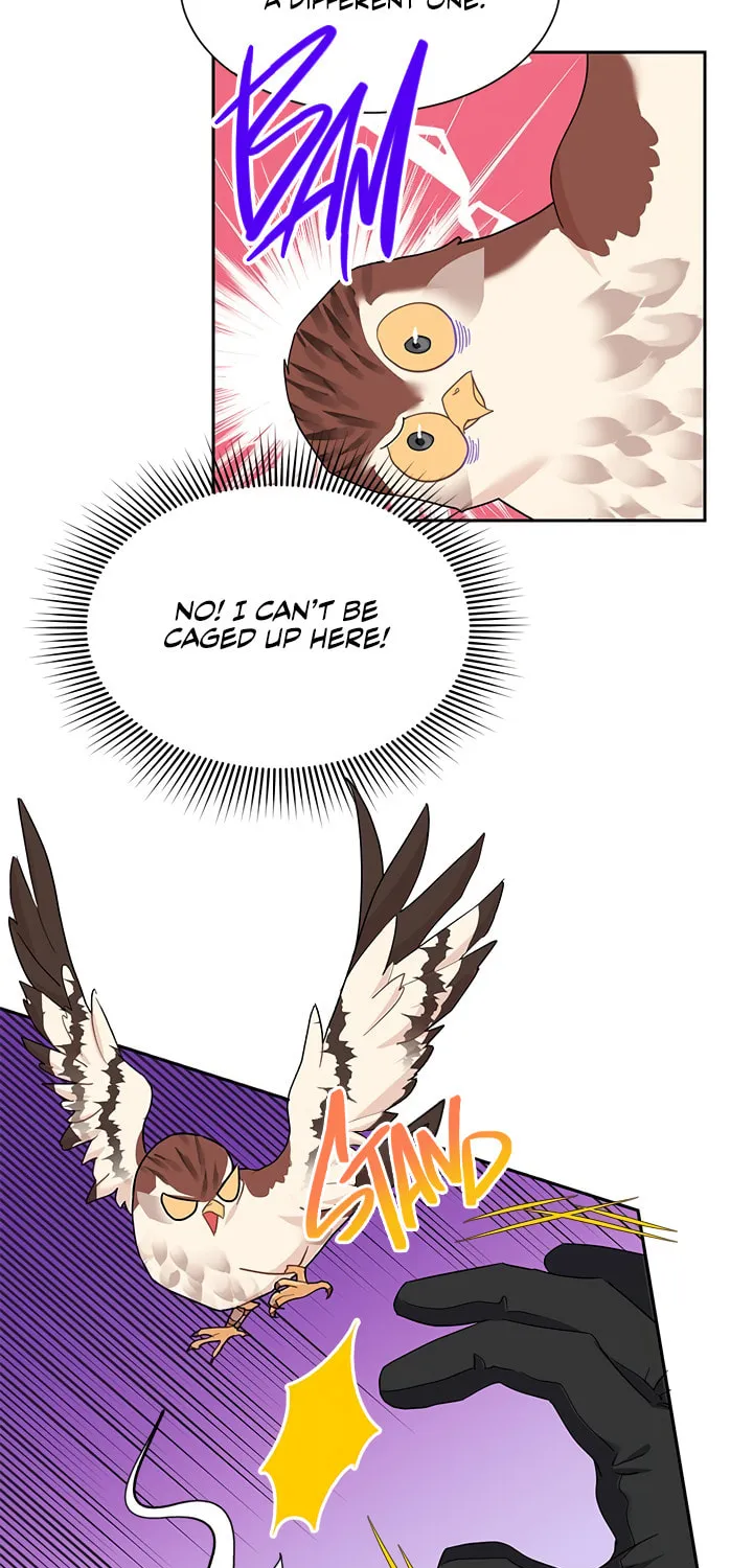 The Falcon Princess Chapter 15 page 28 - 