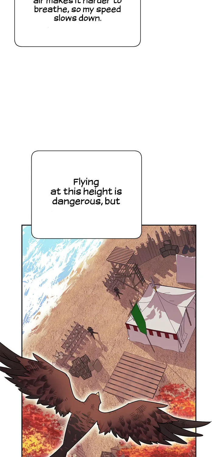 The Falcon Princess Chapter 15 page 39 - 