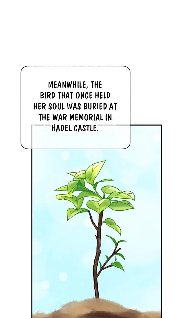 The Falcon Princess Chapter 159 page 45 - 