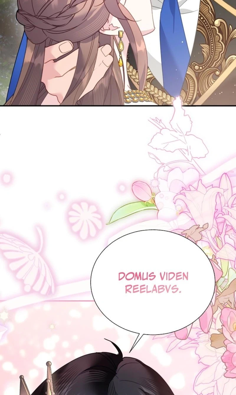The Falcon Princess Chapter 159 page 97 - 