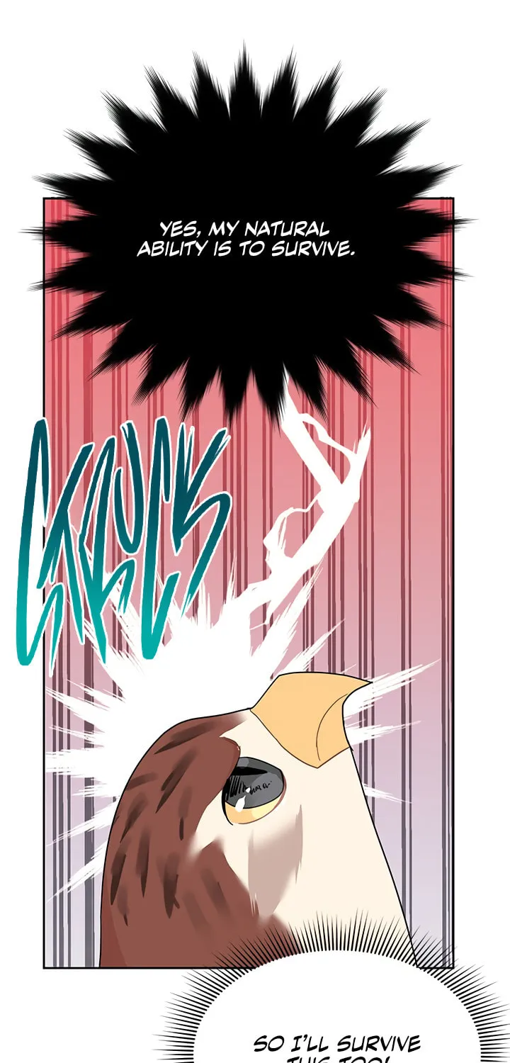The Falcon Princess Chapter 16 page 14 - 