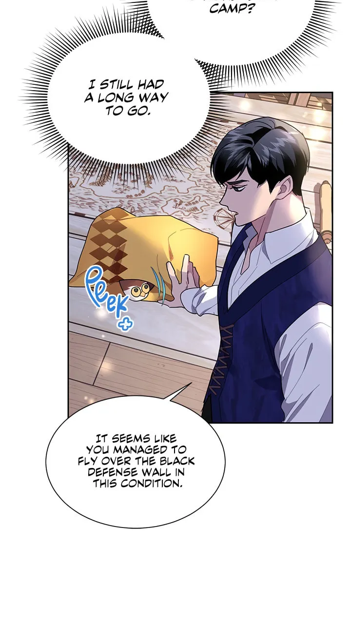 The Falcon Princess Chapter 16 page 39 - 