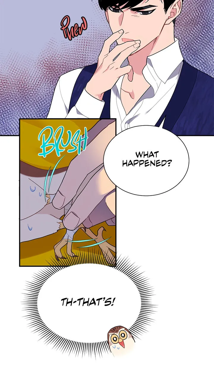The Falcon Princess Chapter 16 page 45 - 