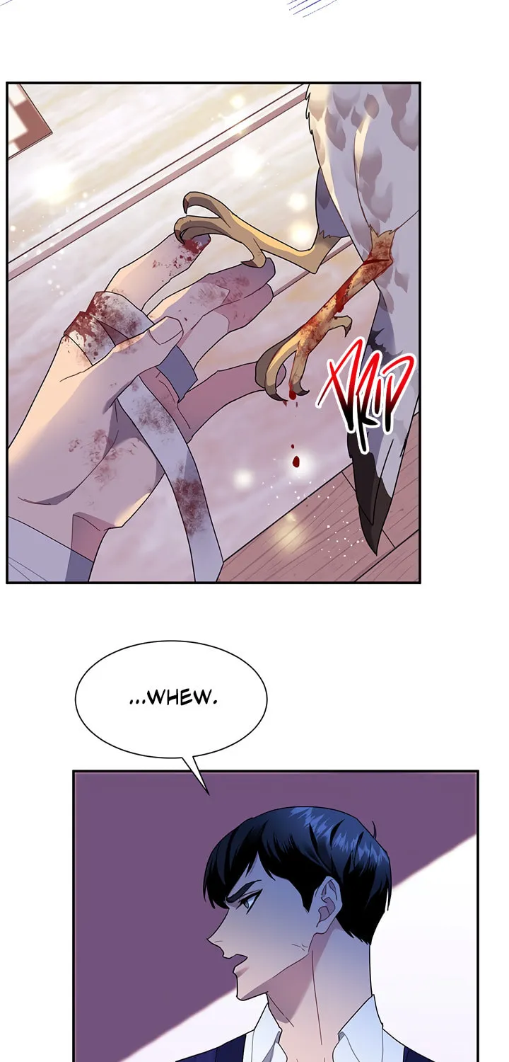 The Falcon Princess Chapter 16 page 63 - 