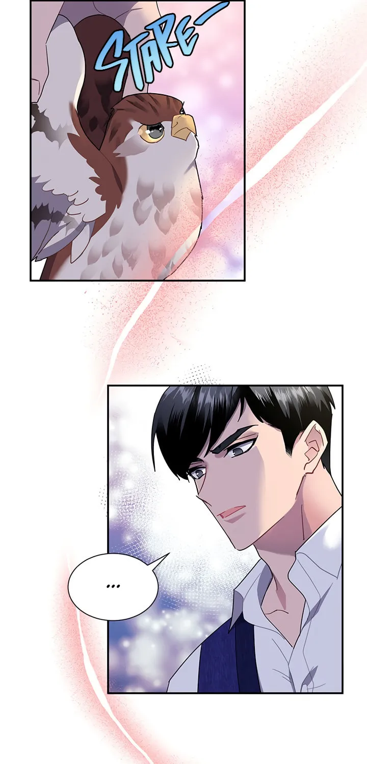 The Falcon Princess Chapter 17 page 2 - 