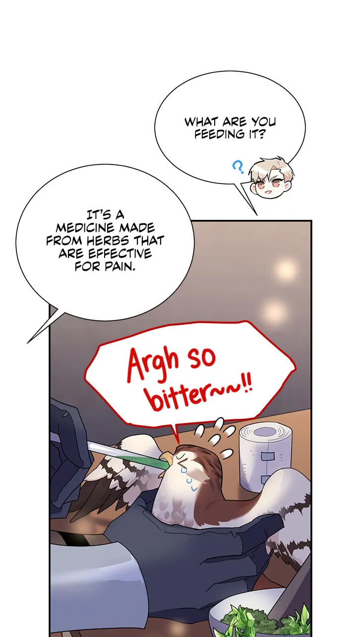 The Falcon Princess Chapter 17 page 12 - 