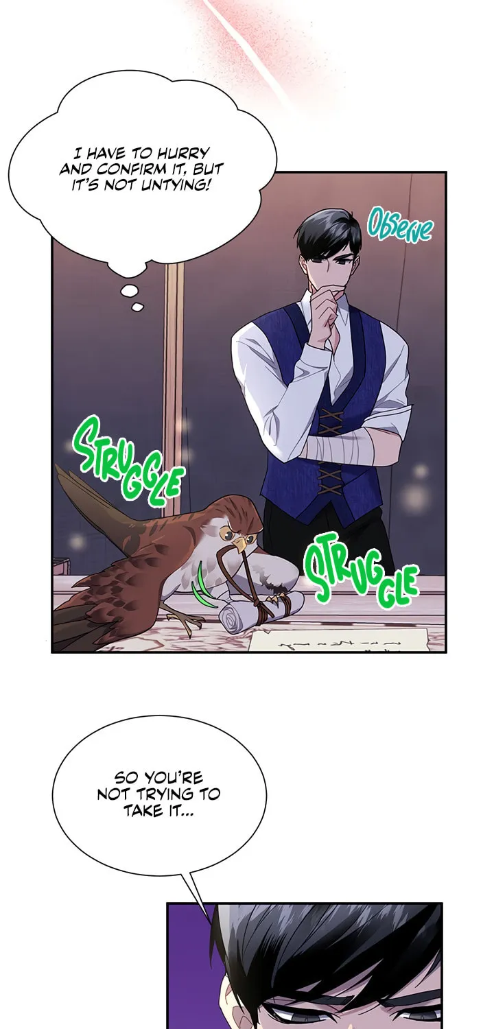 The Falcon Princess Chapter 17 page 3 - 