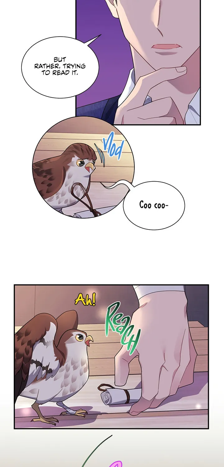 The Falcon Princess Chapter 17 page 4 - 