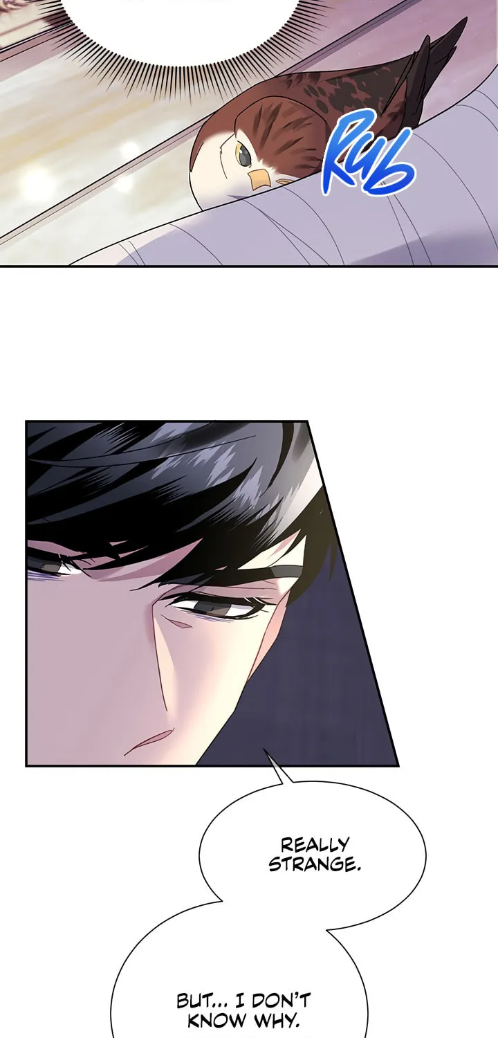The Falcon Princess Chapter 17 page 57 - 