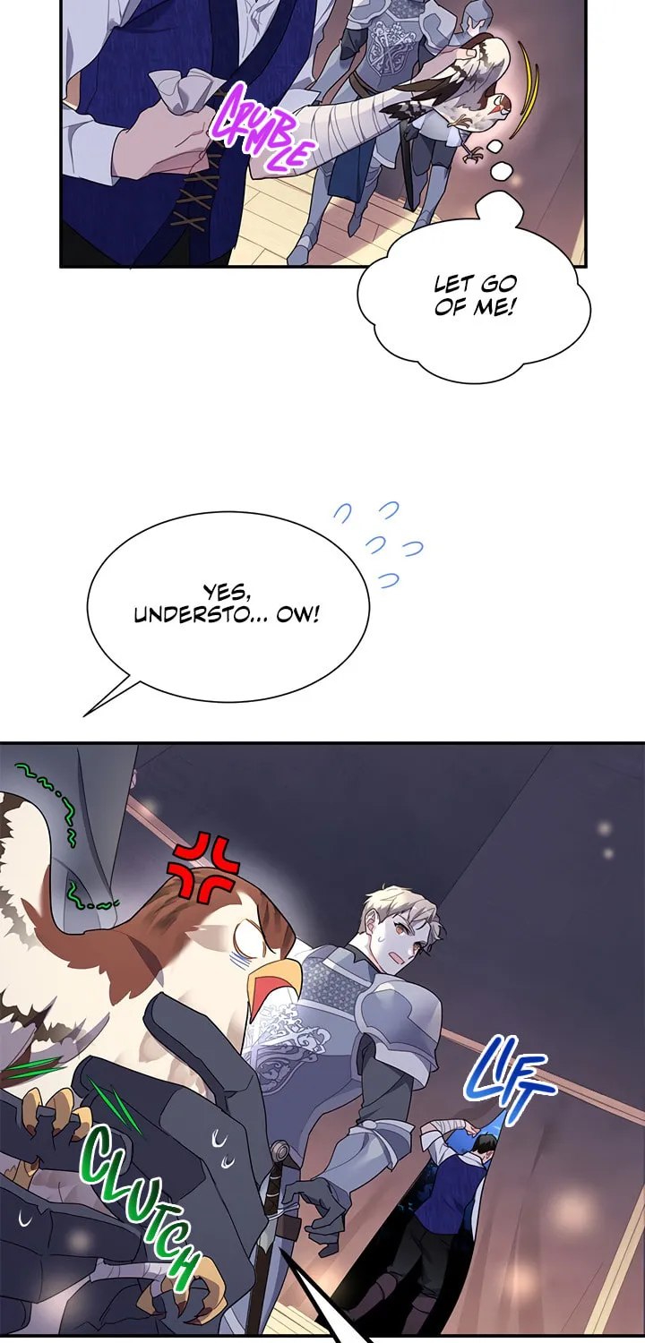 The Falcon Princess Chapter 17 page 9 - 