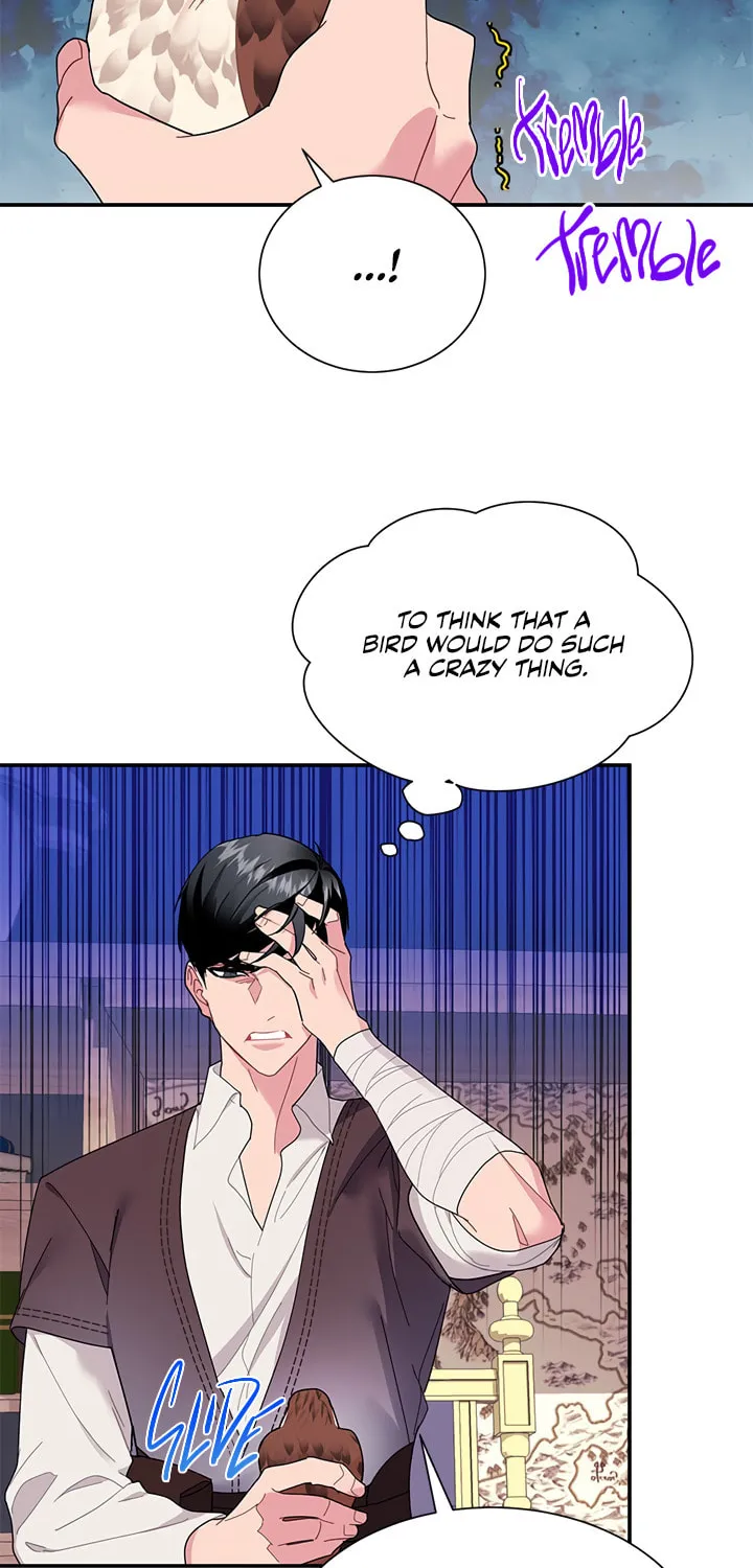 The Falcon Princess Chapter 18 page 21 - 