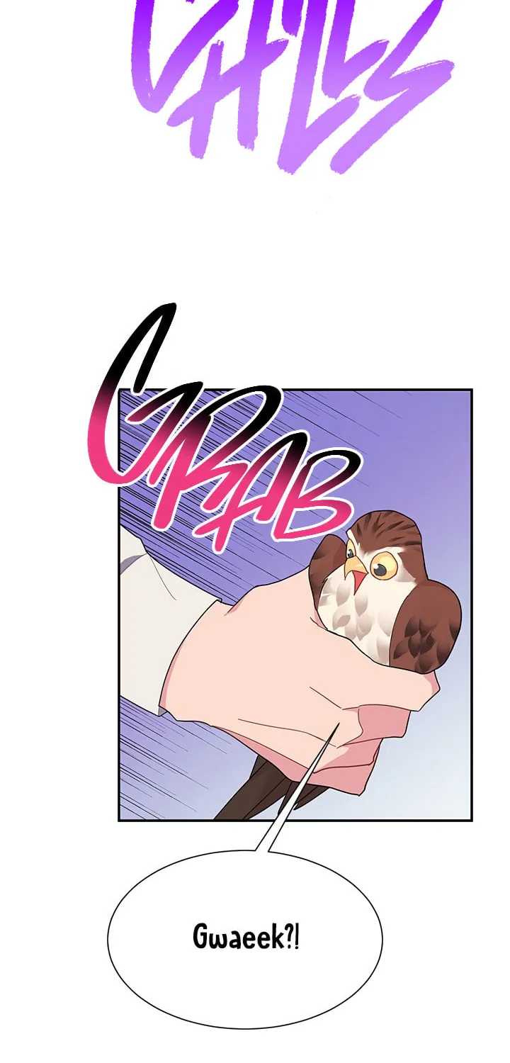 The Falcon Princess Chapter 18 page 41 - 