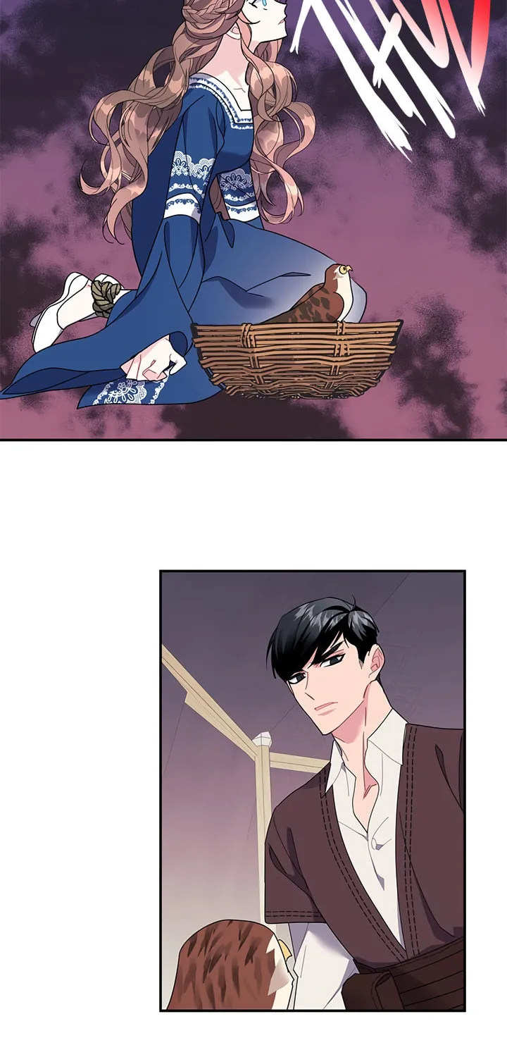 The Falcon Princess Chapter 18 page 47 - 