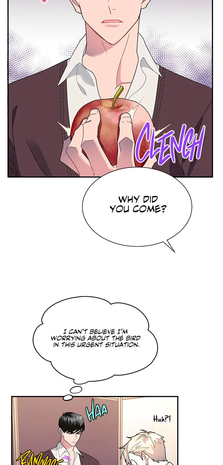 The Falcon Princess Chapter 19 page 12 - 