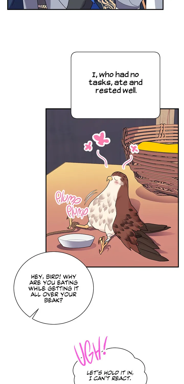 The Falcon Princess Chapter 19 page 31 - 