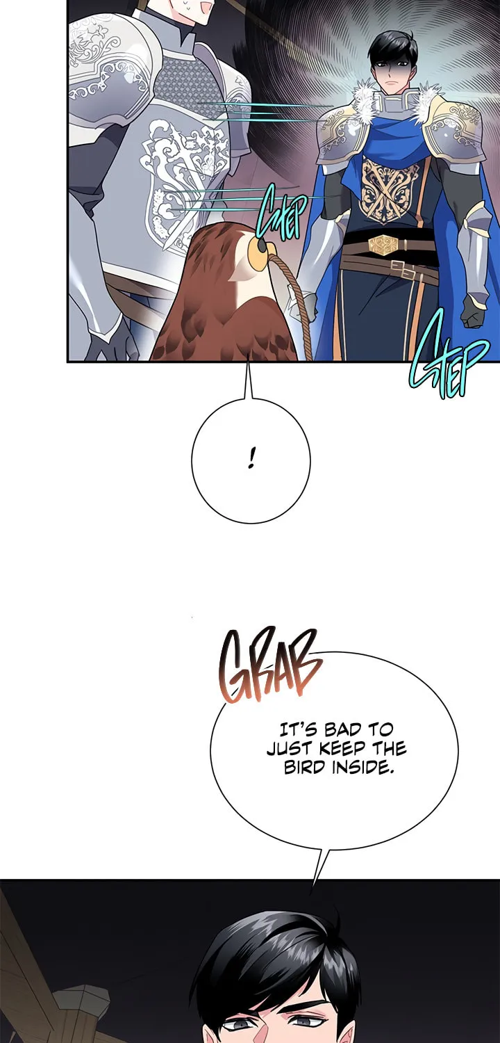 The Falcon Princess Chapter 19 page 39 - 
