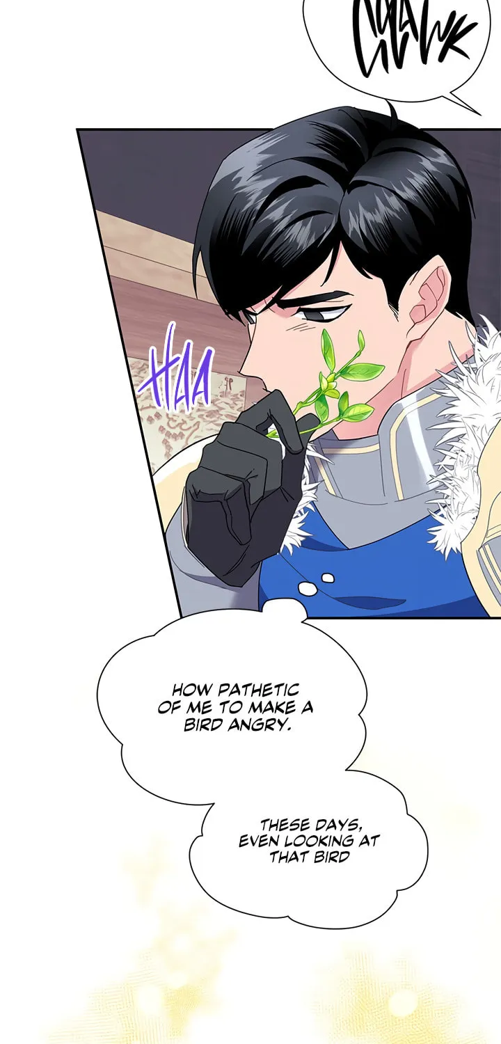 The Falcon Princess Chapter 19 page 64 - 