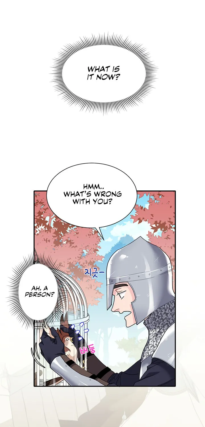 The Falcon Princess Chapter 2 page 11 - 