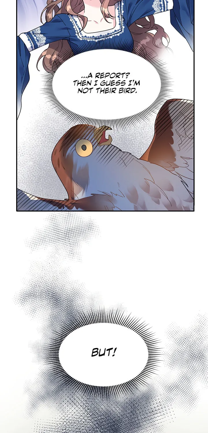 The Falcon Princess Chapter 2 page 13 - 