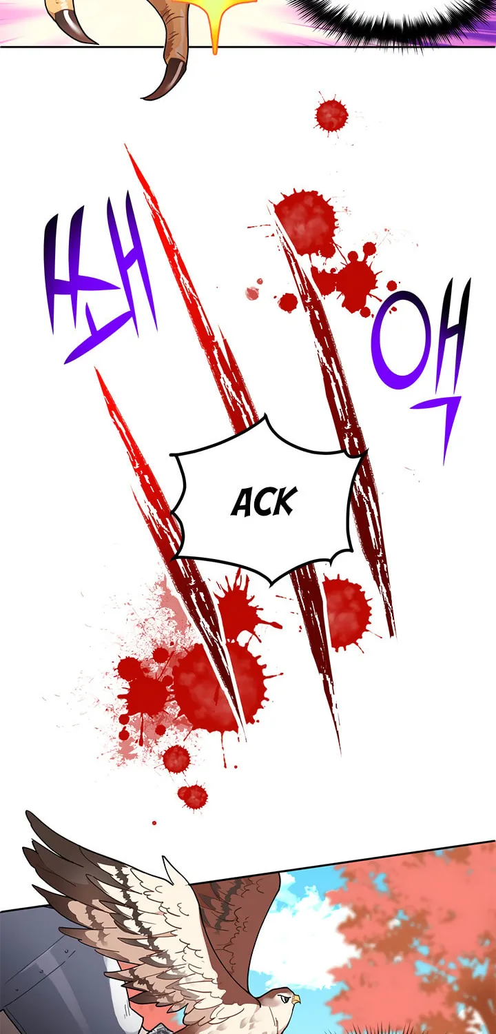 The Falcon Princess Chapter 2 page 17 - 