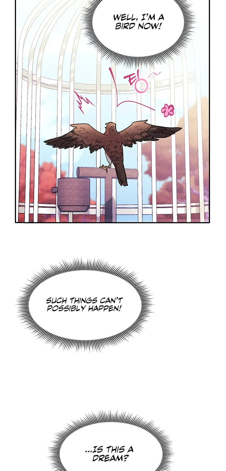 The Falcon Princess Chapter 2 page 3 - 